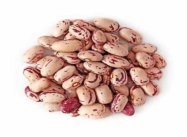خرید جدیدترین انواع لوبیا چیتی فله